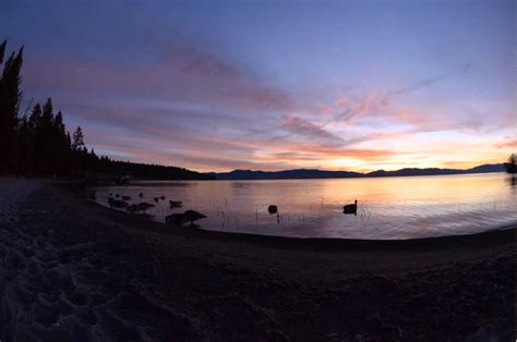 Timelaps Of Sunrise And Ducks At Lake Forest Beach Tahoe City Lake