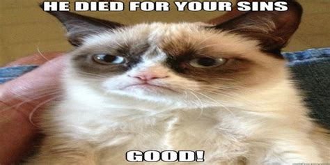 Good Friday Grumpy Cat Adviceanimals