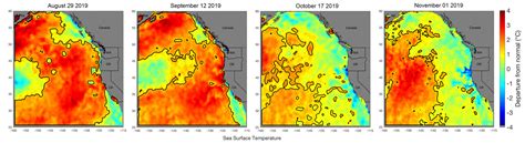 Marine Heatwave In The Pacific Shrinks From Blob In Size Retreats