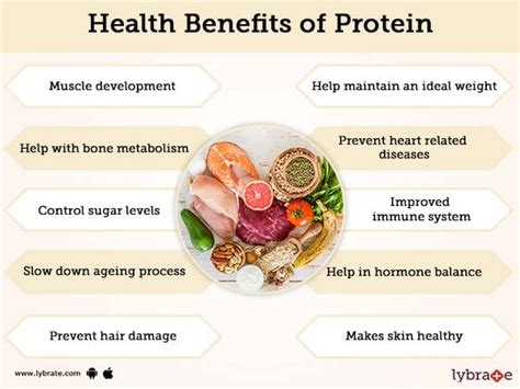 Protein Benefits Sources And Its Side Effects Lybrate