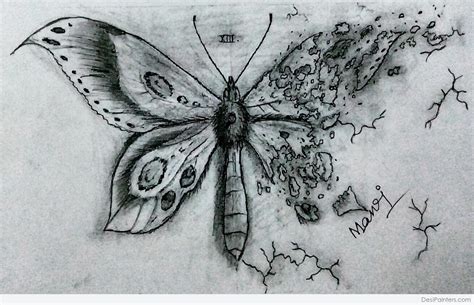 Beautiful Pencil Sketch Of Butterfly Desi Painters
