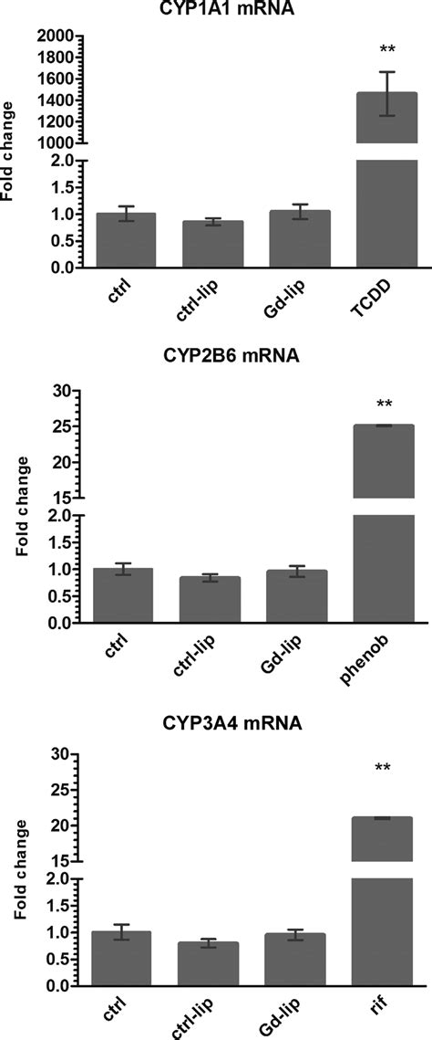 Induction Of Xenobiotic Metabolizing Enzyme Genes CYP1A1 CYP2B6 And
