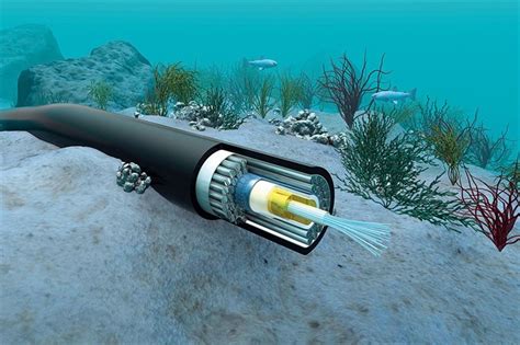 Submarine Fiber Cable Undersea Fiber Optic Cable Map 023nln