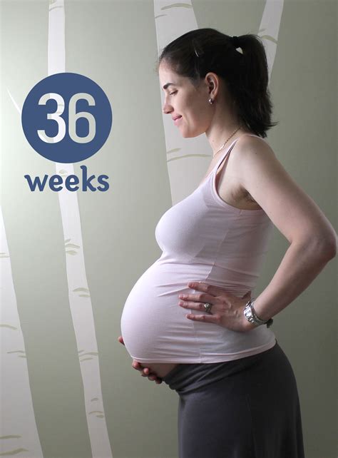Weight Loss During Pregnancy 36 Weeks Bmi Formula