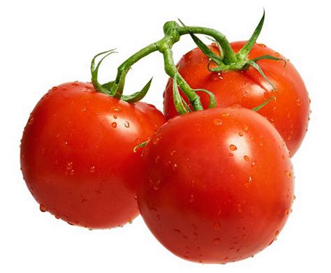 Fresh Tomato Png Image Png Arts
