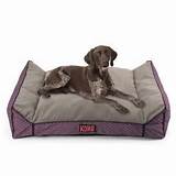 Photos of Amazon Beds For Dogs