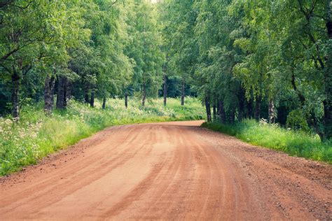 Dirt Road Through The Forest Royalty Free Stock Image Storyblocks