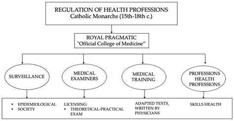 Medicina | Free Full-Text | Midwives in Health Sciences as a