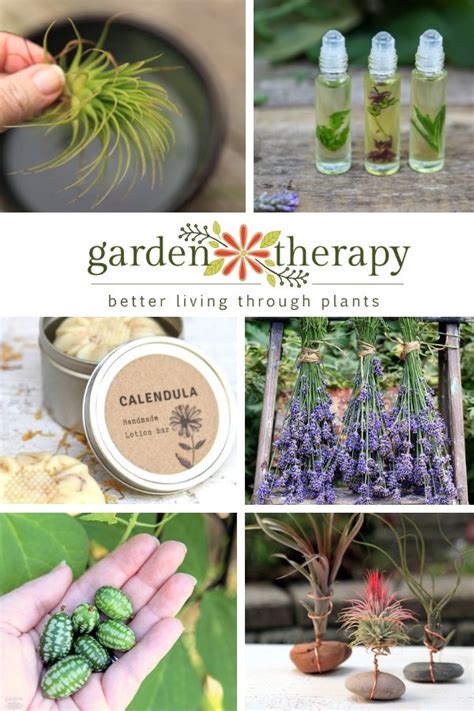 A Look Back At The Best Of Garden Therapy In 2018 Garden Therapy