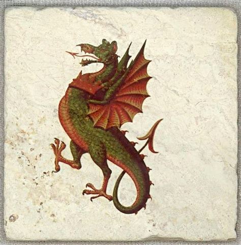 Wyvern Medieval Dragon Bestiary Medieval