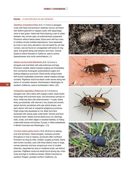 beetles of western north america nhbs good reads