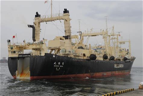 Australia Takes Japan To Uns Highest Court In Bid To Halt Whaling