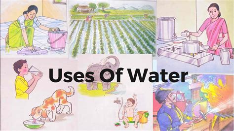 Uses Of Water For Kids And Children Importance Of Water Learn Water