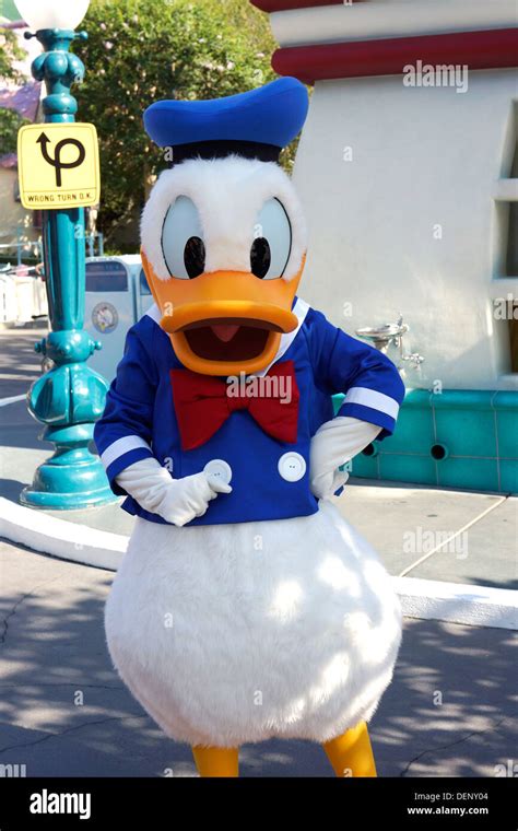 Donald Duck At Disney World