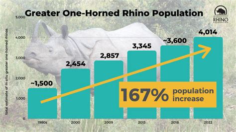 Greater One Horned Rhino Population Reaches New High International