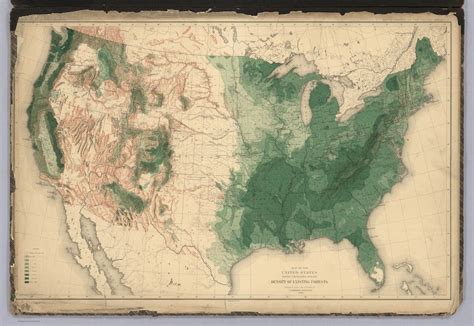 Pretty Tree Maps Showing The State Of American Forests In 1884 Forest
