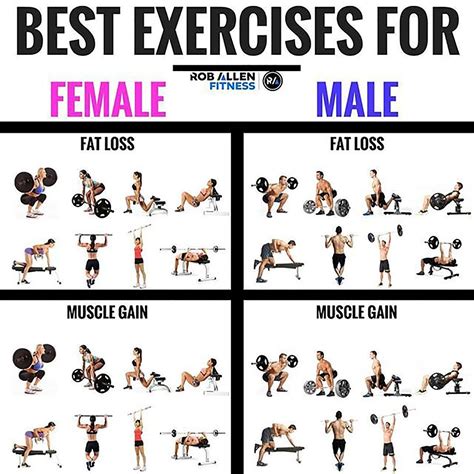 Best Exercises For Weight Loss Thesuperhealthyfood