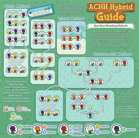 The technical details for this guide, including flower genes and the specifics of availability, come from the acnh flower research datamine. Animal Crossing New Horizons Flower Breeding & Hybridize ...