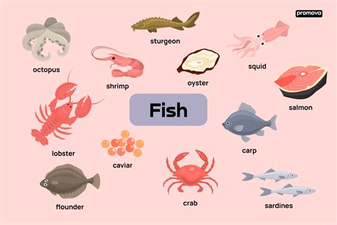 Exploring Types Of Fish With This English Vocabulary