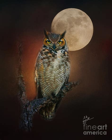 Great Horned Owl By Moonlight Photograph By Tk Goforth Fine Art America