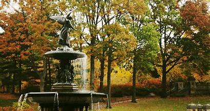 Fountain Bethesda Central Park Cinemagraphs Shot Parks