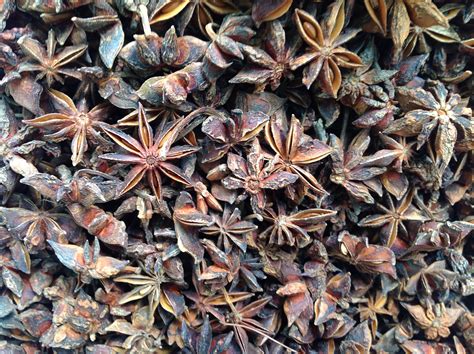 A secret ingredient in traditional asian dishes, this warming, sweet spice can be simmered in broths it's most often used in asian cooking, with a flavor that is stronger and more potent than anise seed. Chinese Star Anise Soap — Adventures With The Sage