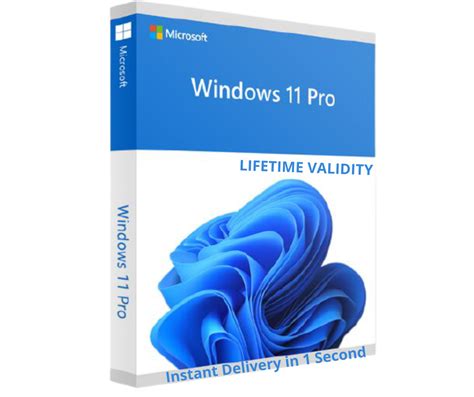 Combo Offer Windows 11 Pro Ms Office 2021 Pro Plus