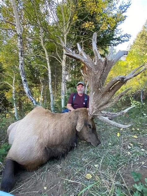 Massive Elk Shot In Idaho Stirs Up Controversy With Avid Hunters