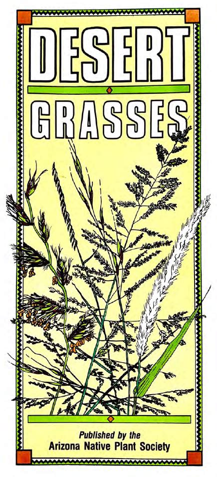 Brochures The Arizona Native Plant Society