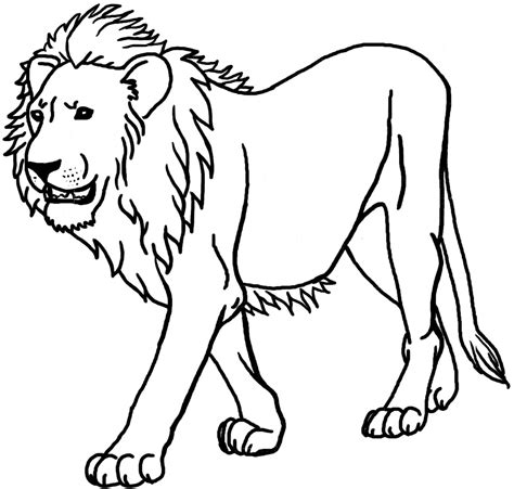 León 10249 Animales Dibujos Para Colorear E Imprimir Gratis