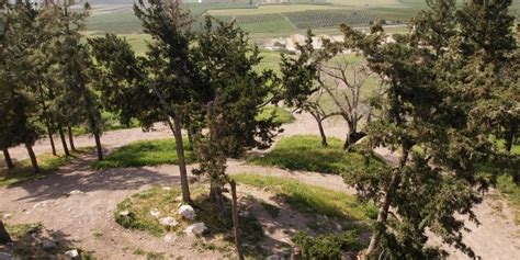 עינת מאז ומתמיד היה אזור עמק יזרעאל אזור מיושב. שביל יזרעאל • טיול רגלי ארוך » outdooractive.com