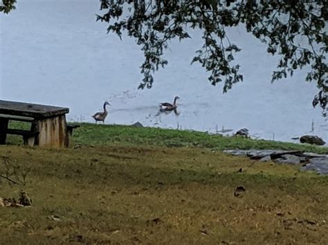 Maybe you would like to learn more about one of these? Lake Leatherwood (Eureka Springs) - 2019 All You Need to ...
