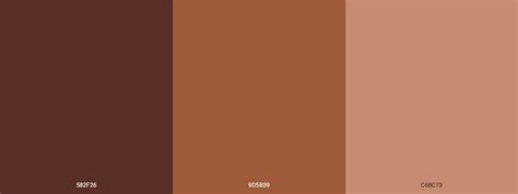 Brown Color Palette Code Real Page Turner Binnacle Portrait Gallery