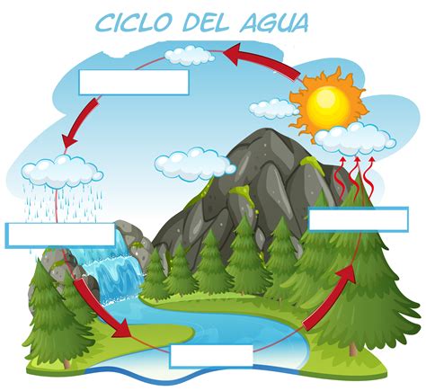 Ciclo Del Agua Ciclo Del Agua Ciclo Del Agua Dibujo Y Geografia Images