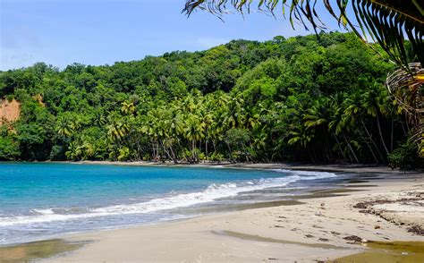10 Best Dominica Beaches — Traverse Journeys Travel That Transforms