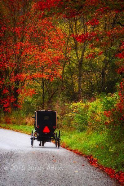 Country Road With Fall Foliage Amish Country Autumn
