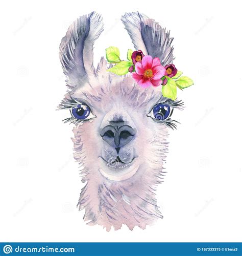 Cute Hand Drawn Llama With A Wreath Of Flowers Bouquet Of Flowers