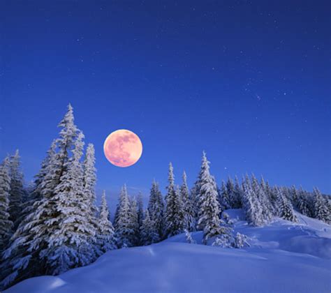 The Fascinating Meaning Of Our Winter Solstice Celebrations Canada Daily