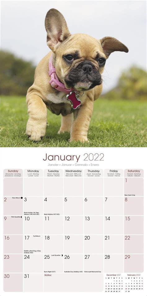 French Bulldog Calendar Dog Breed Calendars Pet Prints Inc