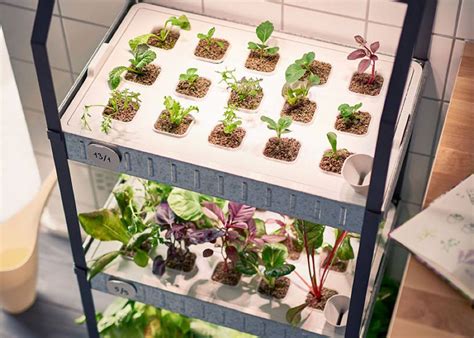 Ikea Releases Indoor Garden Kits For Year Round Veggies No Skills Or