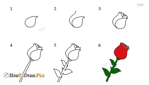 I start hatching according to the body shape to show its volume. How To Draw Rose Pictures | Rose Step by Step Drawing Lessons