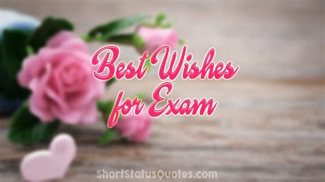 An Incredible Compilation Of Top 999 Exam Wishes Images In Full 4k