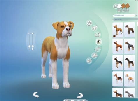 The Sims 4 Cats And Dogs Cc Basestoun