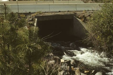 Culvert Passing Under Road On Rattlesnake Creek Photo Pictures