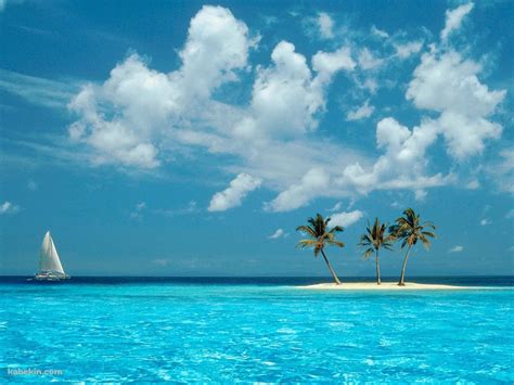 Windows Xp 綺麗なビーチとヨットと椰子の木1440x1080pxのデスクトップpc用の壁紙 高画質 壁紙キングダム