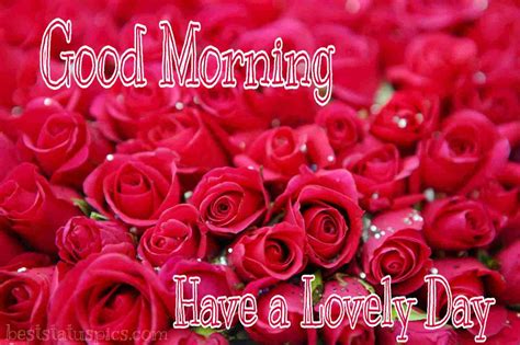 151 Good Morning Romantic Red Rose Images And Pics Best Status Pics