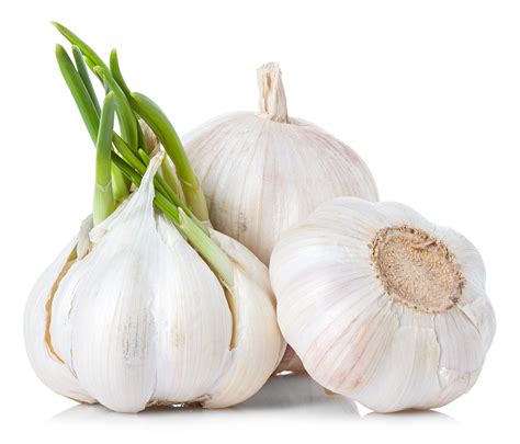 5 Signs You Have A Garlic Intolerance - Bites for Foodies