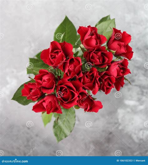 A Bunch Of Red Roses Stock Image Image Of Garden Rose 106102353