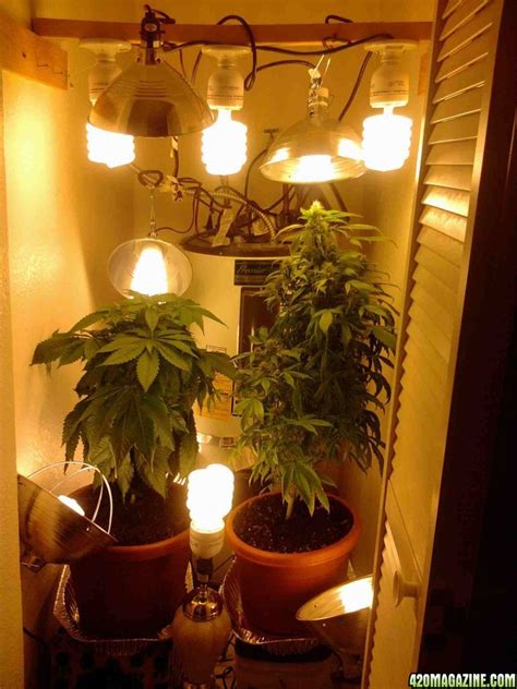 Herbs, lettuce, early stages of tomato and pepper, etc. hydroponic gardening system: A way to grow Hydroponic Weed ...