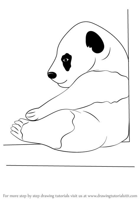 Learn How To Draw A Baby Panda Wild Animals Step By Step Drawing